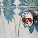 Casa Radicosa *